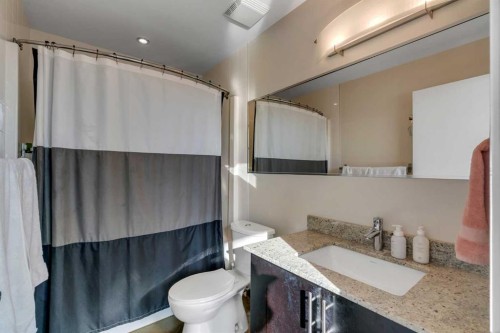 509-135 13 Avenue Sw, Calgary, AB - Indoor Photo Showing Bathroom