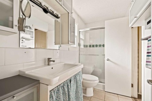 5919 Temple Drive Ne, Calgary, AB - Indoor Photo Showing Bathroom