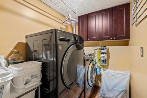 5919 Temple Drive Ne, Calgary, AB - Indoor Photo Showing Laundry Room