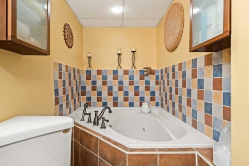 5919 Temple Drive Ne, Calgary, AB - Indoor Photo Showing Bathroom