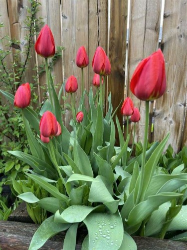 5919 Temple Drive Ne, Calgary, AB - Indoor Photo Showing Bathroom