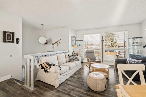 5919 Temple Drive Ne, Calgary, AB - Indoor Photo Showing Living Room