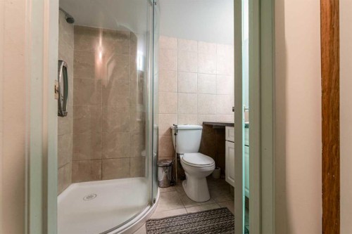 314 Olympia Crescent Se, Calgary, AB - Indoor Photo Showing Bathroom