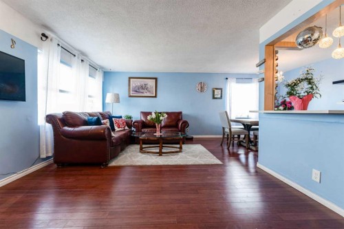 314 Olympia Crescent Se, Calgary, AB - Indoor Photo Showing Living Room