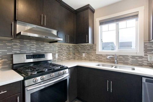 905 Skyview Ranch Grove Ne, Calgary, AB - Indoor Photo Showing Kitchen With Double Sink With Upgraded Kitchen