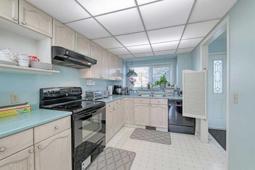 317 Sandringham Road Nw, Calgary, AB - Indoor Photo Showing Kitchen With Double Sink