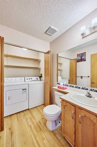 177 Harvest Hills Drive Ne, Calgary, AB - Indoor Photo Showing Laundry Room