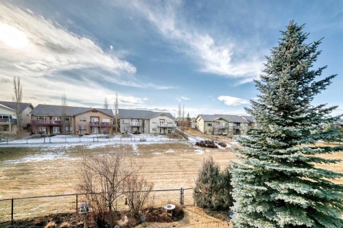 41 Bridle Estates Manor Sw, Calgary, AB - Outdoor