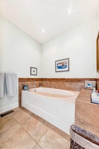 41 Bridle Estates Manor Sw, Calgary, AB - Indoor Photo Showing Bathroom