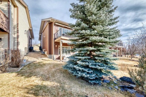 41 Bridle Estates Manor Sw, Calgary, AB - Outdoor