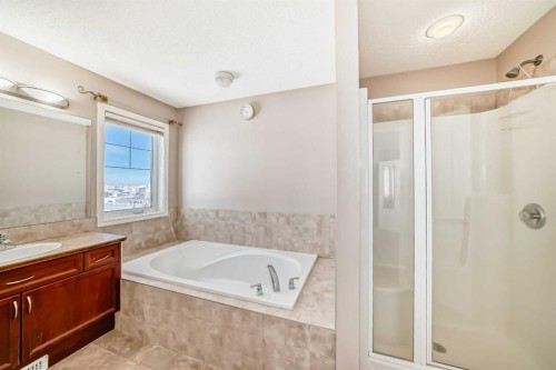 292 Taralake Terrace Ne, Calgary, AB - Indoor Photo Showing Bathroom