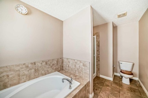 292 Taralake Terrace Ne, Calgary, AB - Indoor Photo Showing Bathroom