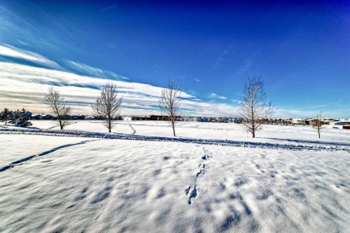 292 Taralake Terrace Ne, Calgary, AB - Outdoor With View