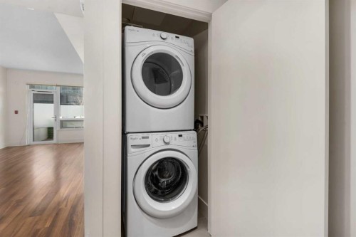 111-46 9 Street Ne, Calgary, AB - Indoor Photo Showing Laundry Room