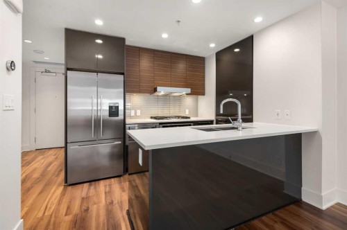 111-46 9 Street Ne, Calgary, AB - Indoor Photo Showing Kitchen With Upgraded Kitchen