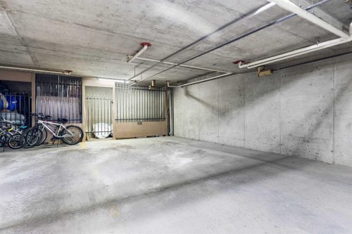 2205-70 Panamount Drive Nw, Calgary, AB - Indoor Photo Showing Garage