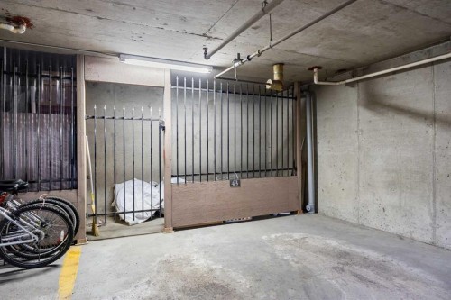 2205-70 Panamount Drive Nw, Calgary, AB - Indoor Photo Showing Garage