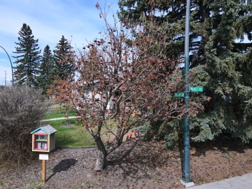 11427 Wilkes Road Se, Calgary, AB - Outdoor