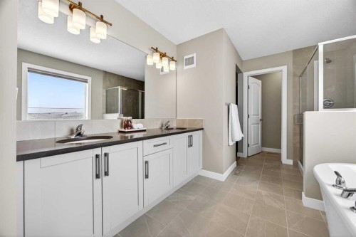 144 Sundown View, Cochrane, AB - Indoor Photo Showing Bathroom