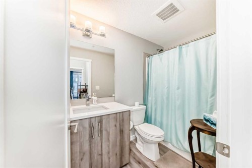 108-71 Shawnee Common Sw, Calgary, AB - Indoor Photo Showing Bathroom