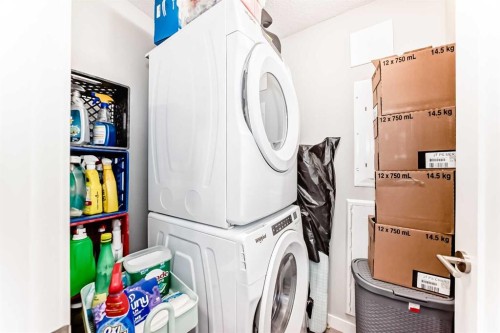 108-71 Shawnee Common Sw, Calgary, AB - Indoor Photo Showing Laundry Room