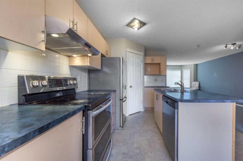171 Saddlemead Green Ne, Calgary, AB - Indoor Photo Showing Kitchen With Stainless Steel Kitchen