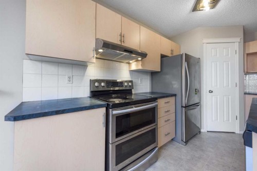 171 Saddlemead Green Ne, Calgary, AB - Indoor Photo Showing Kitchen With Stainless Steel Kitchen