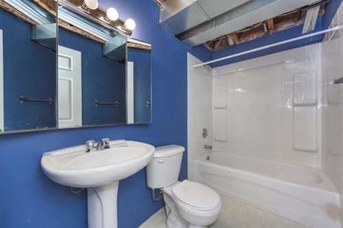 171 Saddlemead Green Ne, Calgary, AB - Indoor Photo Showing Bathroom