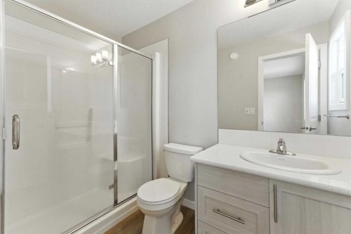 3644 Cornerstone Boulevard Ne, Calgary, AB - Indoor Photo Showing Bathroom