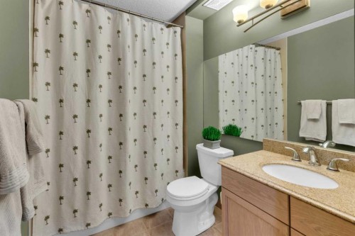 3-124 19 Avenue Ne, Calgary, AB - Indoor Photo Showing Bathroom