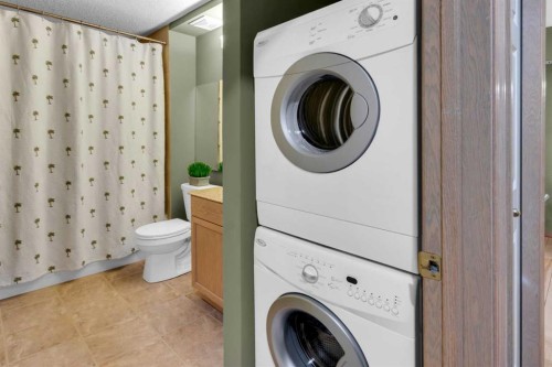 3-124 19 Avenue Ne, Calgary, AB - Indoor Photo Showing Laundry Room
