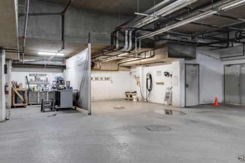 3608-24 Hemlock Crescent Sw, Calgary, AB - Indoor Photo Showing Garage