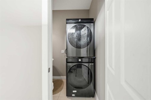 69 Skyview Springs Crescent Ne, Calgary, AB - Indoor Photo Showing Laundry Room