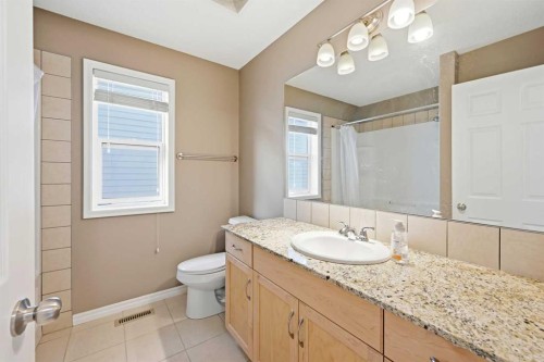 69 Skyview Springs Crescent Ne, Calgary, AB - Indoor Photo Showing Bathroom