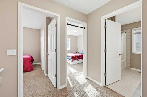 69 Skyview Springs Crescent Ne, Calgary, AB - Indoor