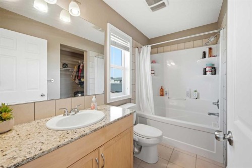 69 Skyview Springs Crescent Ne, Calgary, AB - Indoor Photo Showing Bathroom