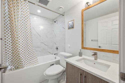 69 Skyview Springs Crescent Ne, Calgary, AB - Indoor Photo Showing Bathroom