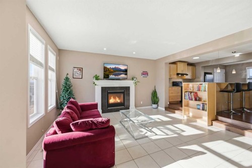 69 Skyview Springs Crescent Ne, Calgary, AB - Indoor Photo Showing Living Room With Fireplace