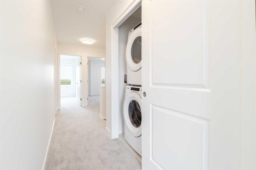 409-8535 19 Avenue Se, Calgary, AB - Indoor Photo Showing Laundry Room