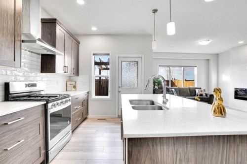 155 Savanna Way Ne, Calgary, AB - Indoor Photo Showing Kitchen With Double Sink With Upgraded Kitchen