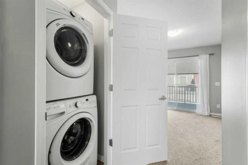 10940 Cityscape Drive Ne, Calgary, AB - Indoor Photo Showing Laundry Room