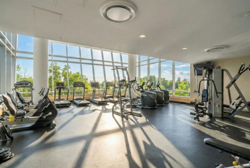 2004-77 Spruce Place Sw, Calgary, AB - Indoor Photo Showing Gym Room