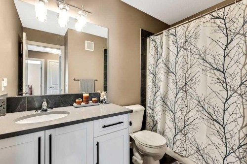 205 Aspenmere Way, Chestermere, AB - Indoor Photo Showing Bathroom