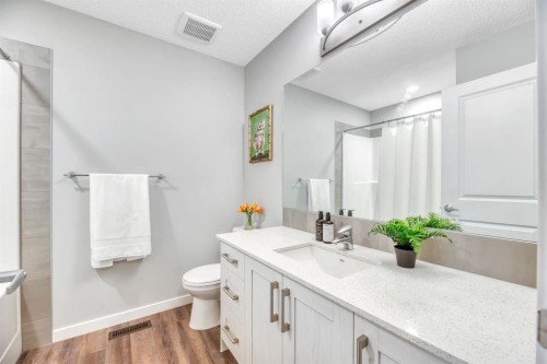 63 Walgrove Way Se, Calgary, AB - Indoor Photo Showing Bathroom