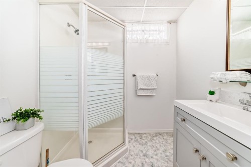 11 Martinridge Place Ne, Calgary, AB - Indoor Photo Showing Bathroom