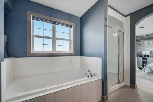 26 Copperfield Common Se, Calgary, AB - Indoor Photo Showing Bathroom