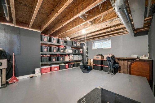 26 Copperfield Common Se, Calgary, AB - Indoor Photo Showing Basement