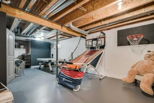 26 Copperfield Common Se, Calgary, AB - Indoor Photo Showing Basement