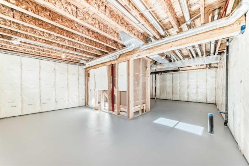 107 Mercado Crescent Se, Calgary, AB - Indoor Photo Showing Basement