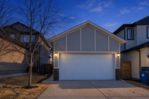 1006 Shantz Place, Crossfield, AB - Outdoor